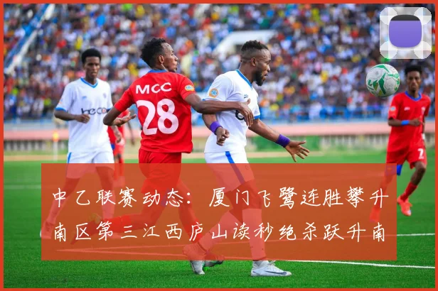 中乙联赛动态：厦门飞鹭连胜攀升南区第三江西庐山读秒绝杀跃升南区第四